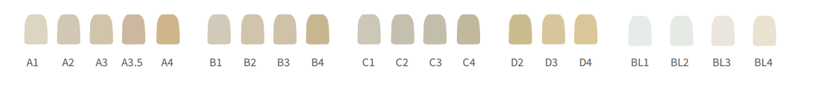 1687660509687.png